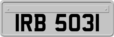 IRB5031