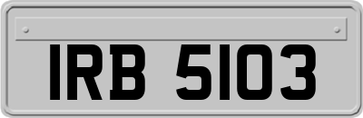 IRB5103