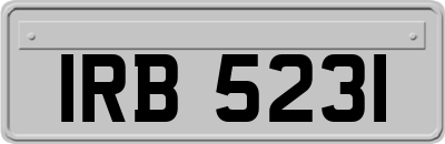 IRB5231