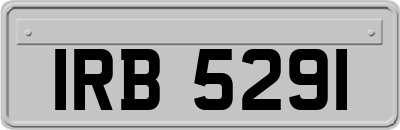 IRB5291