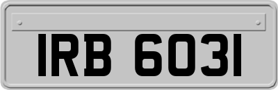 IRB6031