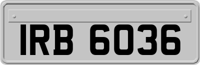 IRB6036