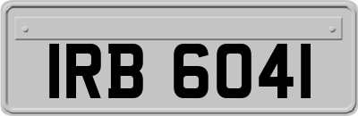 IRB6041