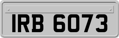 IRB6073