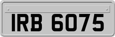 IRB6075