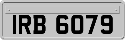 IRB6079