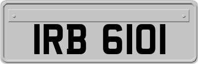 IRB6101