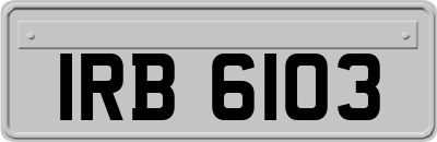 IRB6103