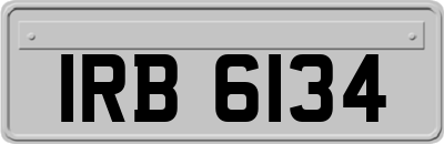 IRB6134