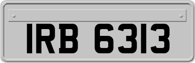 IRB6313