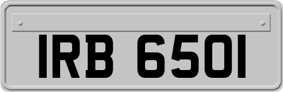 IRB6501