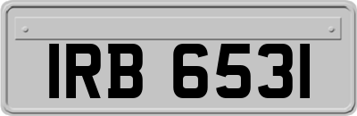 IRB6531