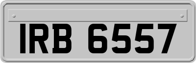 IRB6557