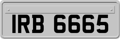 IRB6665