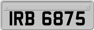 IRB6875