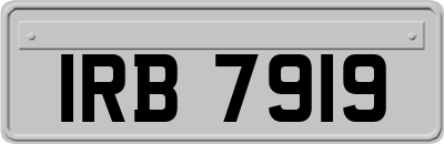 IRB7919