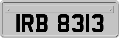 IRB8313