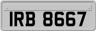 IRB8667