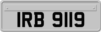 IRB9119