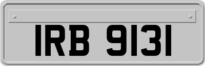 IRB9131