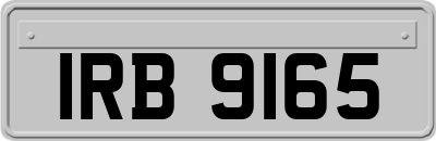 IRB9165