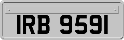 IRB9591