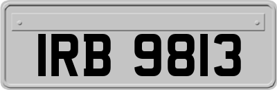 IRB9813