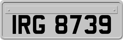 IRG8739