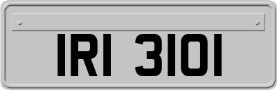 IRI3101