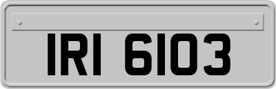 IRI6103