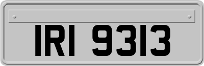 IRI9313