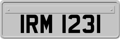 IRM1231