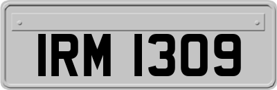 IRM1309