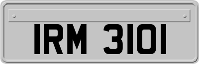 IRM3101