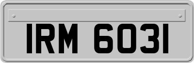 IRM6031