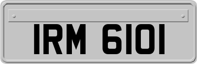 IRM6101