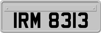 IRM8313