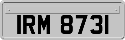 IRM8731