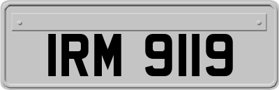 IRM9119