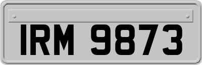 IRM9873