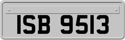 ISB9513