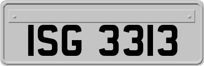 ISG3313