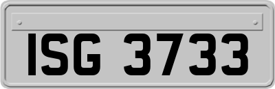 ISG3733