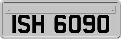 ISH6090