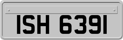 ISH6391