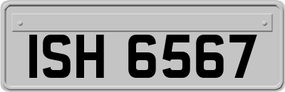 ISH6567