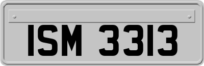 ISM3313