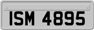 ISM4895