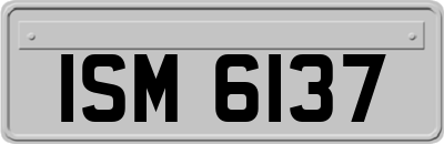 ISM6137