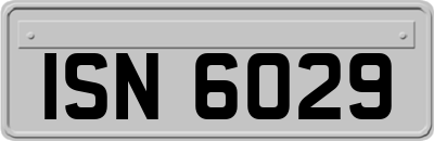 ISN6029